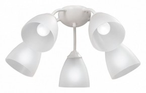 Потолочная люстра Vitaluce V3737 V3737-0/5PL в Советском - sovetskiy.mebel24.online | фото