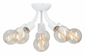 Потолочная люстра Vitaluce V3927 V3927-0/6PL в Советском - sovetskiy.mebel24.online | фото