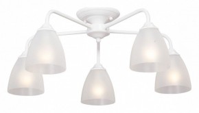 Потолочная люстра Vitaluce  V3946-0/5PL в Советском - sovetskiy.mebel24.online | фото