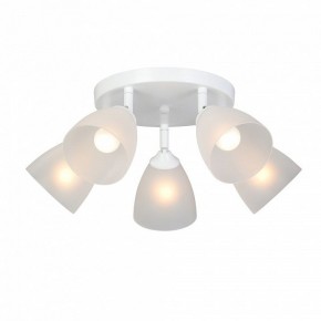 Потолочная люстра Vitaluce V4355 V4355-0/5PL в Советском - sovetskiy.mebel24.online | фото 2