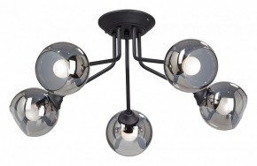 Потолочная люстра Vitaluce  V4724-1/5PL в Советском - sovetskiy.mebel24.online | фото