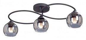 Потолочная люстра Vitaluce  V4965-1/3PL в Советском - sovetskiy.mebel24.online | фото