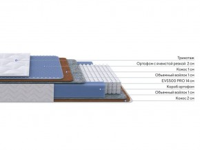 PROxSON Матрас Active Duo M/F (Ткань Трикотаж Эко) 80x200 в Советском - sovetskiy.mebel24.online | фото 2