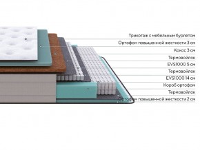 PROxSON Матрас Elysium Firm (Трикотаж Spiral-RT) 80x200 в Советском - sovetskiy.mebel24.online | фото 2