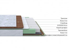 PROxSON Матрас Green Duo M/F (Tricotage Dream) 140x195 в Советском - sovetskiy.mebel24.online | фото 2