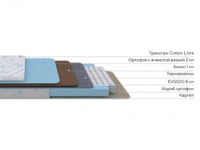 PROxSON Матрас Совенок (Print) 60x140 в Советском - sovetskiy.mebel24.online | фото 2