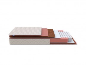 PROxSON Матрас Standart Plus M Roll (Ткань Жаккард) 160x190 в Советском - sovetskiy.mebel24.online | фото 1