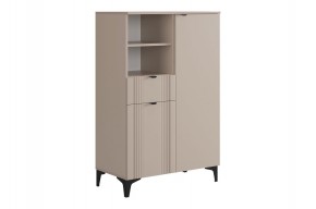РИЧ Комод 2 в Советском - sovetskiy.mebel24.online | фото