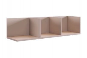 РИЧ Полка навесная 2 (кашемир) в Советском - sovetskiy.mebel24.online | фото