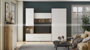 МИЛАН-1 Секция ТВ (ЦРК.МЛН.01 секция ТВ) в Советском - sovetskiy.mebel24.online | фото 3