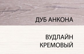 Шкаф 1DZ, OLIVIA, цвет вудлайн крем/дуб анкона в Советском - sovetskiy.mebel24.online | фото 3