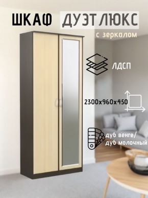 Шкаф 2-х створчатый Дуэт Люкс с зеркалом в Советском - sovetskiy.mebel24.online | фото