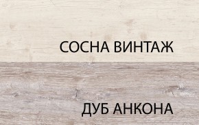 Шкаф 2DG2S, MONAKO, цвет Сосна винтаж/дуб анкона в Советском - sovetskiy.mebel24.online | фото