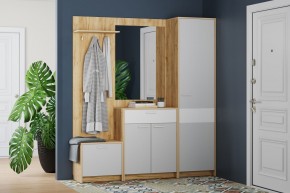Шкаф для одежды НМ 013.12 "Нортон" (Крафт Золотой) в Советском - sovetskiy.mebel24.online | фото 3