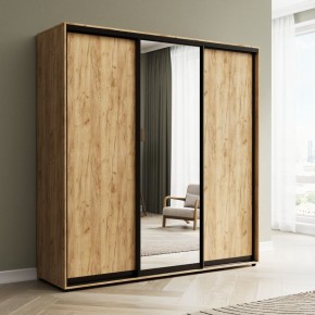 Шкаф-купе Акцент-Сим ДЗ 2400-600 в Советском - sovetskiy.mebel24.online | фото 4