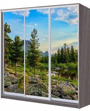Шкаф-купе ХИТ 22-20/2-777 ПРИРОДА в Советском - sovetskiy.mebel24.online | фото