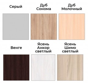 Шкаф-купе ХИТ 22-4-14-11 (420) в Советском - sovetskiy.mebel24.online | фото 5
