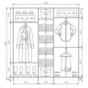 Шкаф-купе ХИТ 22-4-20-222 (420) в Советском - sovetskiy.mebel24.online | фото 2