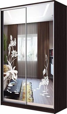 Шкаф-купе ХИТ 23-15-66 ЦАПЛИ в Советском - sovetskiy.mebel24.online | фото