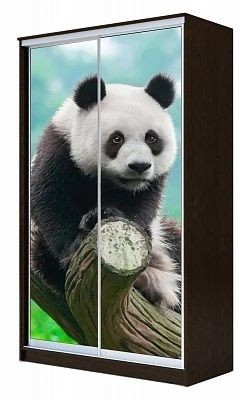 Шкаф-купе ХИТ 23-15-77 ПАНДА в Советском - sovetskiy.mebel24.online | фото