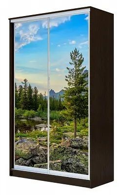 Шкаф-купе ХИТ 23-15-77 ПРИРОДА в Советском - sovetskiy.mebel24.online | фото