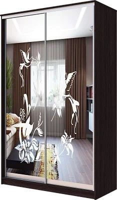 Шкаф-купе ХИТ 23-4-12/2-66 КОЛИБРИ в Советском - sovetskiy.mebel24.online | фото