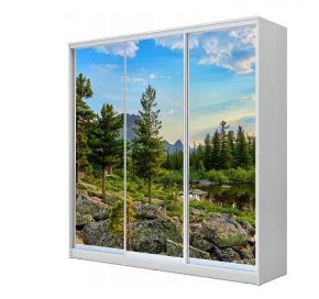 Шкаф-купе ХИТ 23-4-20-777 (420) в Советском - sovetskiy.mebel24.online | фото