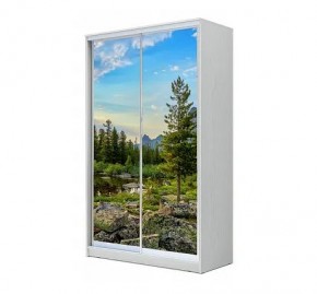 Шкаф-купе ХИТ 24-12/2-77 (620) в Советском - sovetskiy.mebel24.online | фото