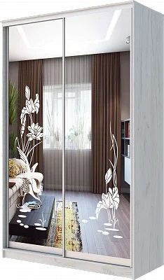 Шкаф-купе ХИТ 24-14-66 ЦАПЛИ в Советском - sovetskiy.mebel24.online | фото