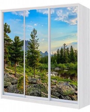 Шкаф-купе ХИТ 24-18/2-777 ПРИРОДА в Советском - sovetskiy.mebel24.online | фото