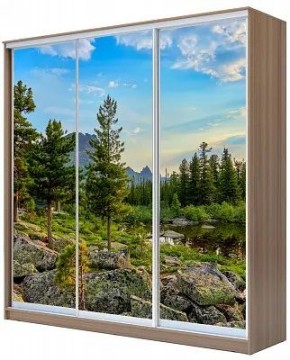 Шкаф-купе ХИТ 24-18-777 ПРИРОДА в Советском - sovetskiy.mebel24.online | фото