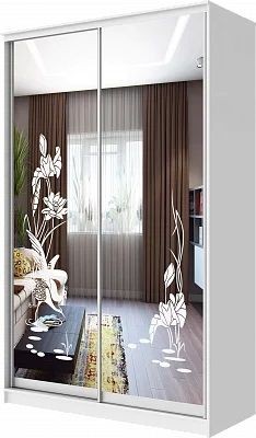 Шкаф-купе ХИТ 24-4-12-66 ЦАПЛИ в Советском - sovetskiy.mebel24.online | фото