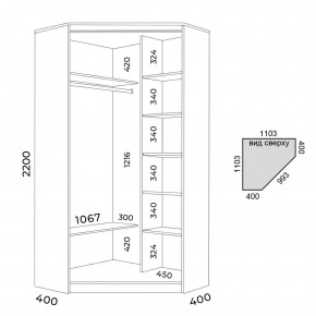 Шкаф-купе ХИТ-У-22-4-55 в Советском - sovetskiy.mebel24.online | фото 2