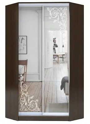 Шкаф-купе ХИТ-У-L-23-64-66 ОРНАМЕНТ в Советском - sovetskiy.mebel24.online | фото