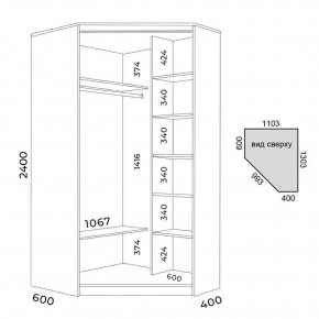 Шкаф-купе ХИТ-У-L-24-64-15 в Советском - sovetskiy.mebel24.online | фото 3