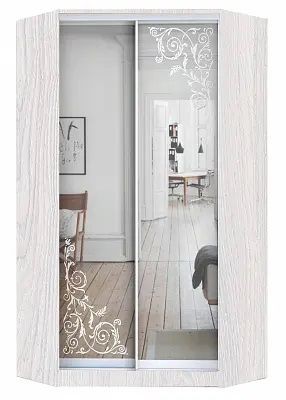 Шкаф-купе ХИТ-У-L-24-64-66 ОРНАМЕНТ в Советском - sovetskiy.mebel24.online | фото