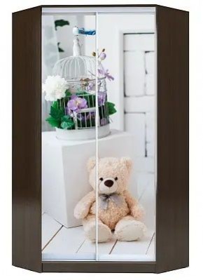 Шкаф-купе ХИТ-У-R-22-64-77 МИШКА В ИНТЕРЬЕРЕ в Советском - sovetskiy.mebel24.online | фото