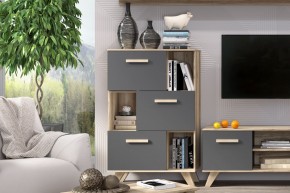Шкаф низкий с нишами Вега Скандинавия в Советском - sovetskiy.mebel24.online | фото 6