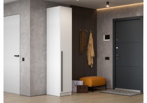 Шкаф платяной Бирма ШК-400 в Советском - sovetskiy.mebel24.online | фото 4