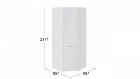 Шкаф платяной Глосс СМ-319.07.311 в Советском - sovetskiy.mebel24.online | фото 3