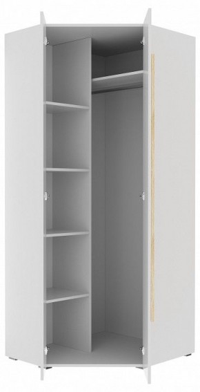 Шкаф платяной Куба 1725.М3 в Советском - sovetskiy.mebel24.online | фото 11