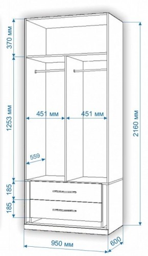 Шкаф платяной Нобиле Пл-95/60 в Советском - sovetskiy.mebel24.online | фото 2