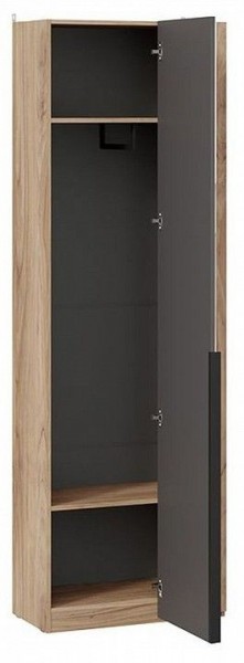 Шкаф платяной Порто СМ-393.07.232 в Советском - sovetskiy.mebel24.online | фото 2