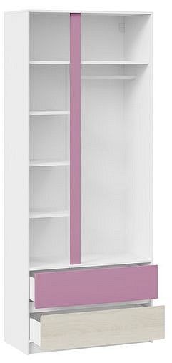 Шкаф платяной Сканди в Советском - sovetskiy.mebel24.online | фото 4