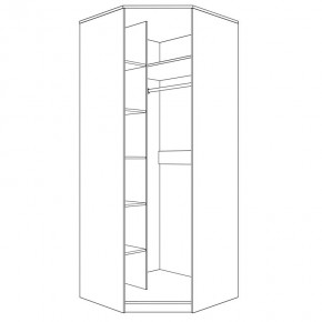 Шкаф угловой (корпус) Парма Нео в Советском - sovetskiy.mebel24.online | фото 4