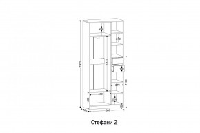 СТЕФАНИ-2 Шкаф в Советском - sovetskiy.mebel24.online | фото 2