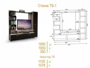 Стенка для гостиной ТВ-1 в Советском - sovetskiy.mebel24.online | фото 2