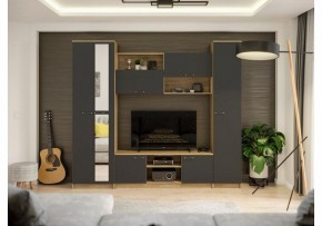 Стенки для гостиной Бертелена в Советском - sovetskiy.mebel24.online | фото 2