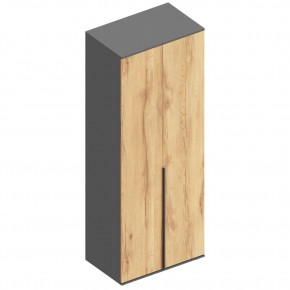 СТИЛ Шкаф 2-ств для одежды в Советском - sovetskiy.mebel24.online | фото