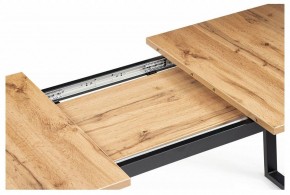 Стол обеденный Лота Лофт в Советском - sovetskiy.mebel24.online | фото 9